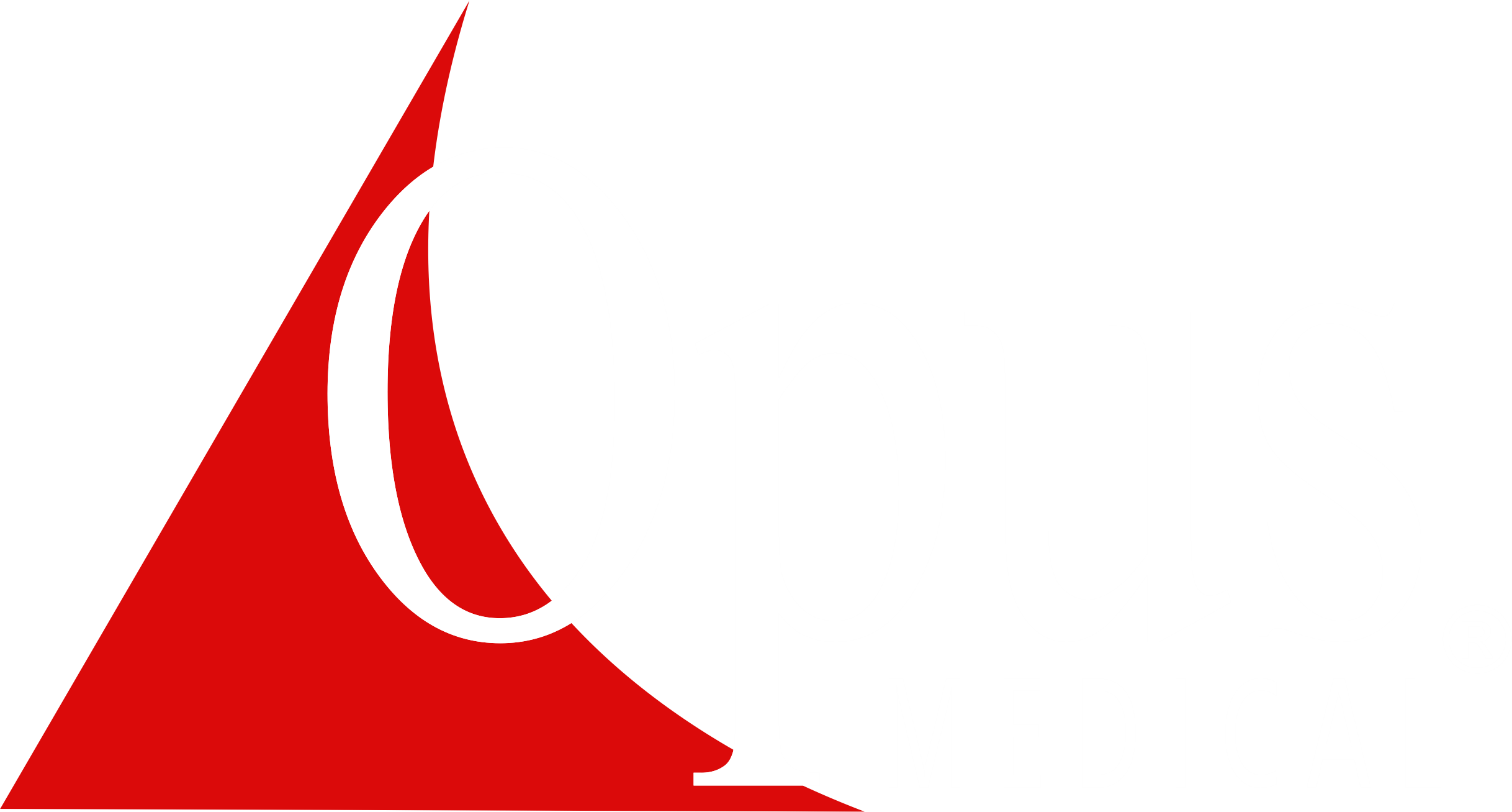 Opus Medical